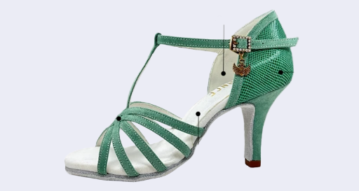 Premium Two-Tone Latin Dance Shoes