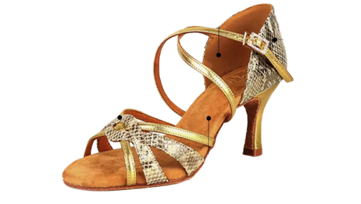 Custom Leopard Wrap Latin Dance Shoes