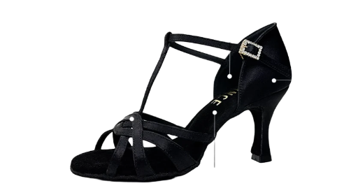 Custom Satin Latin Dance Shoes - Image 6