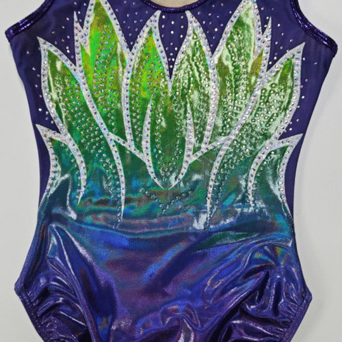 Gymnastics Leotards