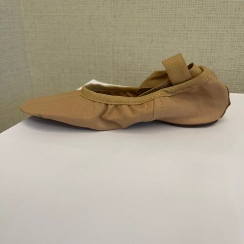 Ballet Dance Shoes (4-Way Stretch)